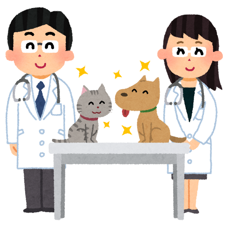 pet_doctor_juui